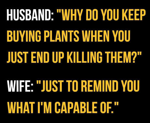 husband-why-kill-plants-wife-remind-you-what-im-capable-of.jpg