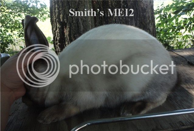 SmithsMEI2posed.jpg