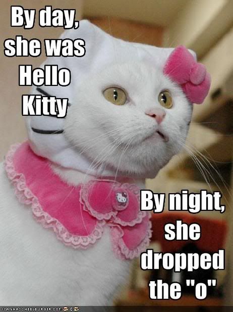 funny-pictures-cat-dresses-as-hello.jpg