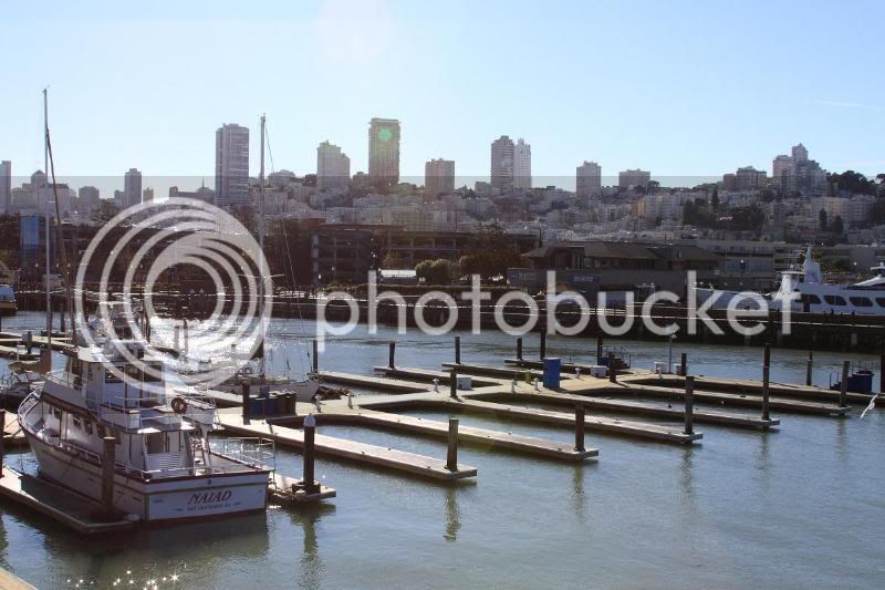 pier39t.jpg