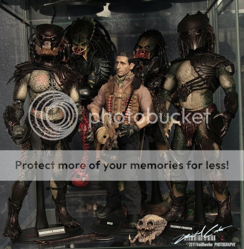 Predators-Collection-1.jpg