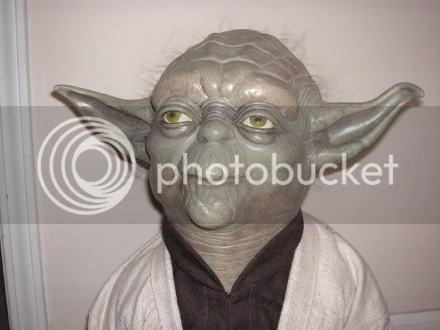 yoda1.jpg