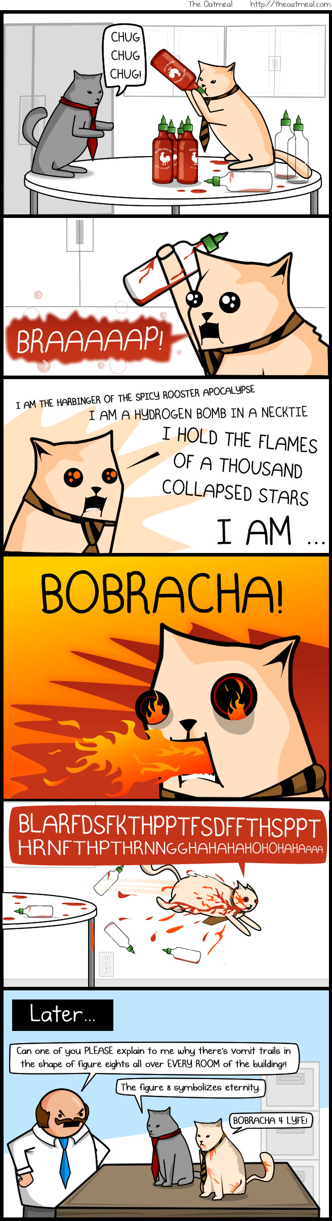 bobracha.jpg