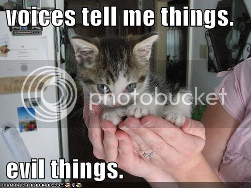 funny-pictures-evil-cute-kitten-han.jpg