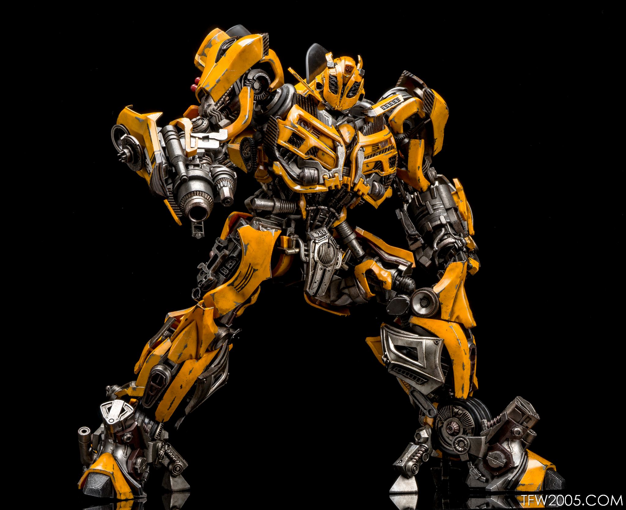 3A-Bumblebee-033.jpg