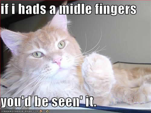 lol-cat-middle-finger.jpg