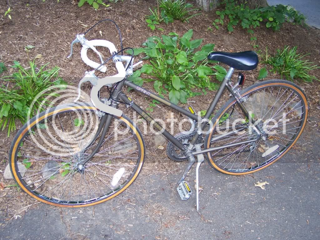 schwinn4.jpg