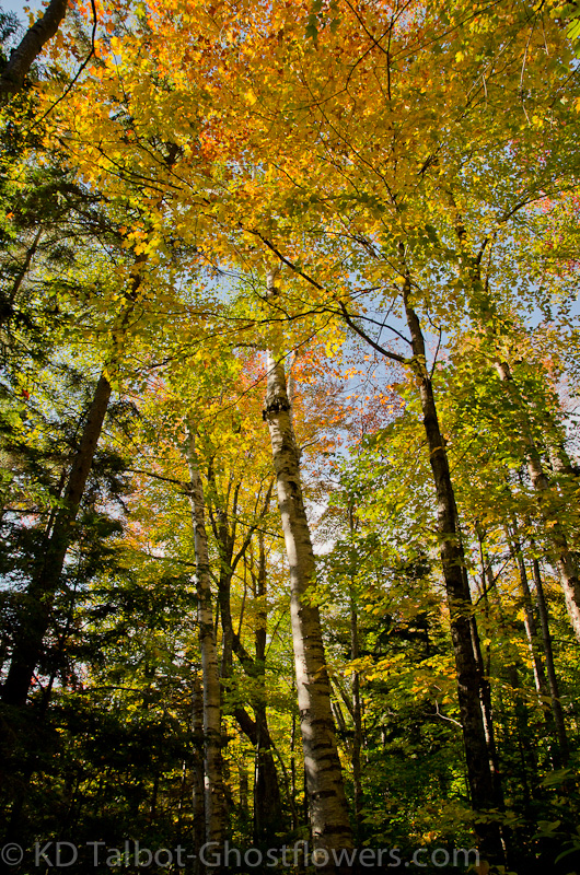 20111008-_DSC0118.jpg