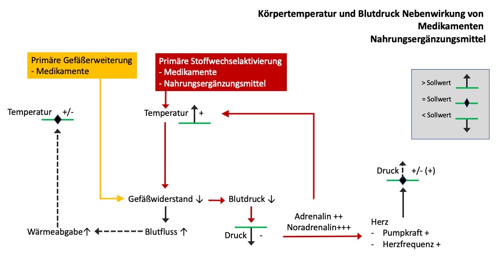 Medikamente,Panikattacke,Panikattacken,Nahrungsergänzungsmittel,Nebenwirkungen,Angst,Schilddrüsenhormone,Antidepressiva,Kreislaufmedikamente