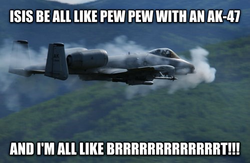 murica-freedom-hey-isis-have-you-met-our-friend-the-warthog