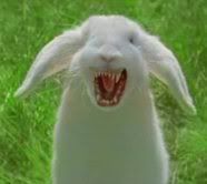 evil_bunny.jpg