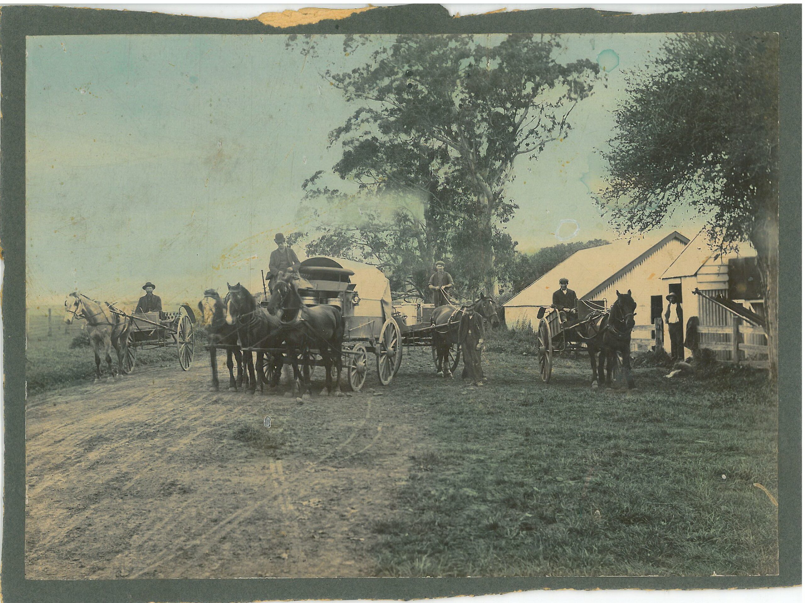 1881 J. W. Smith Horse Drawn Milk Delivery Wagon Photo