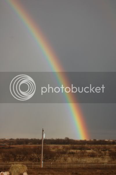 2010rainbow4.jpg