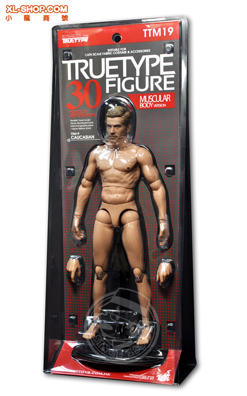 1/ 6 scale Hot Toys Advanced Muscular TTM 20 action figure in