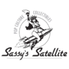 sassys-satellite.com