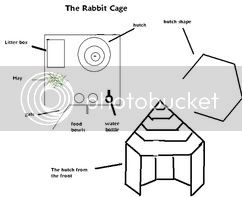 rabbitcage.jpg