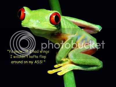 froggy.jpg