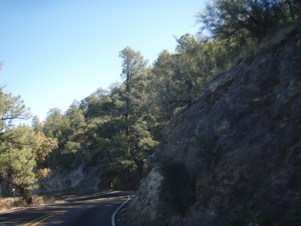 PA300096.jpg