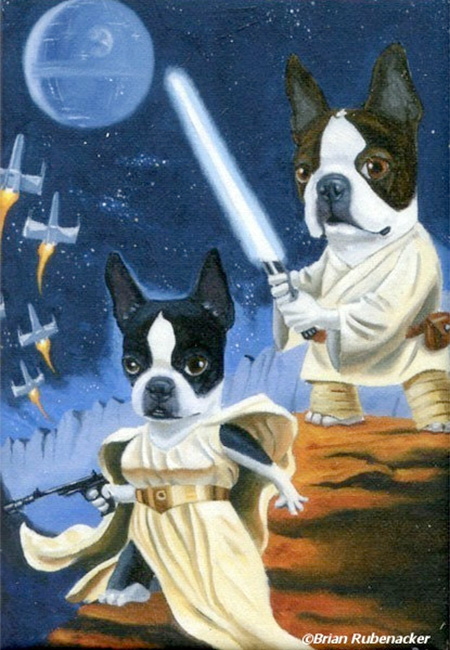 starwarsdog11.jpg