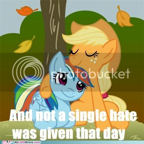 my-little-pony-friendship-is-magic-brony-the-number-of-hates-i-dont-give.jpg