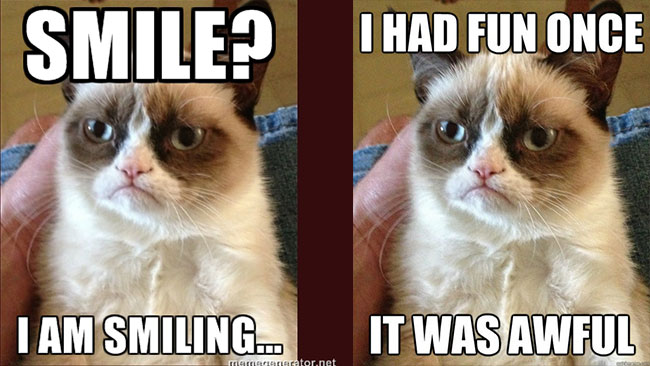 284578-grumpy-cat.gif