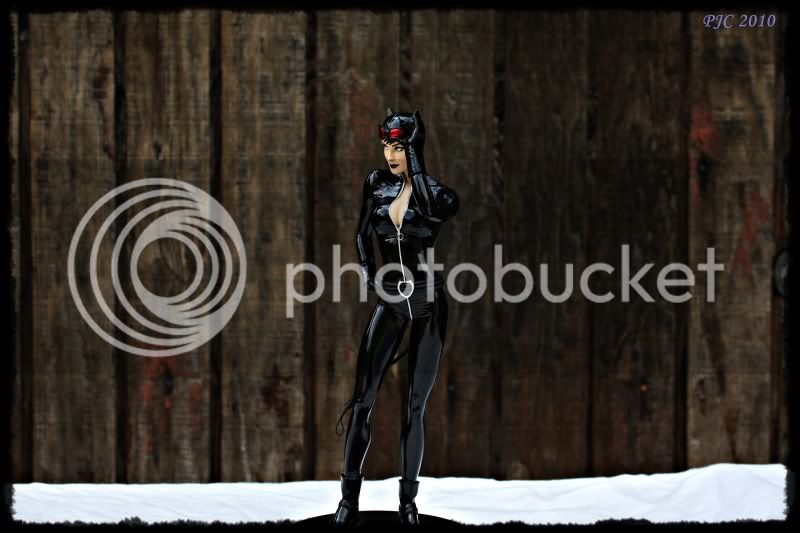 Catwoman5.jpg