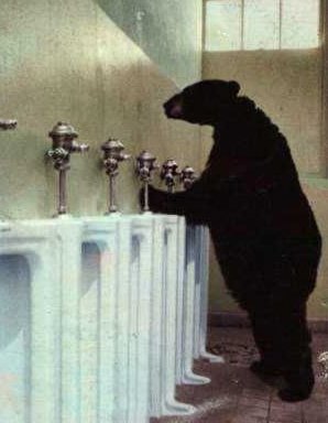 bear-pee.jpg