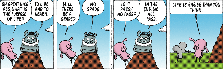 Pearls Before Swine Comic Strip for May 25, 2023 