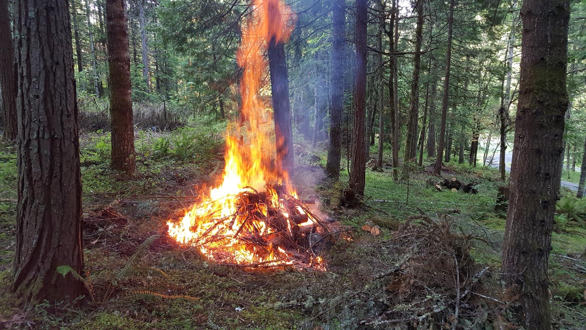 pile-burning.jpg