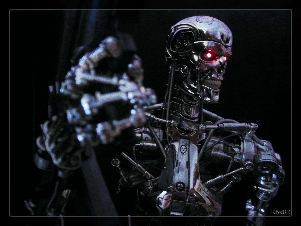 Endoskeleton15_zpsad828844.jpg