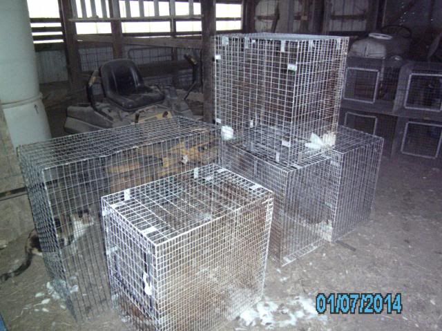 Newcages002_zps3335ee54.jpg