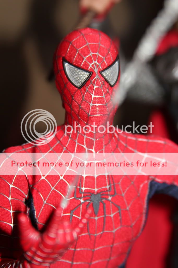 spidey005.jpg