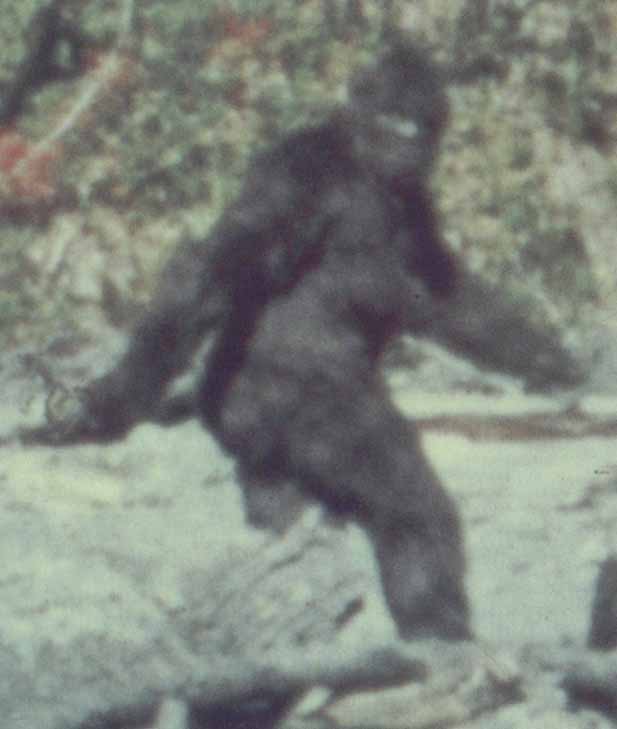 bigfoot.jpg