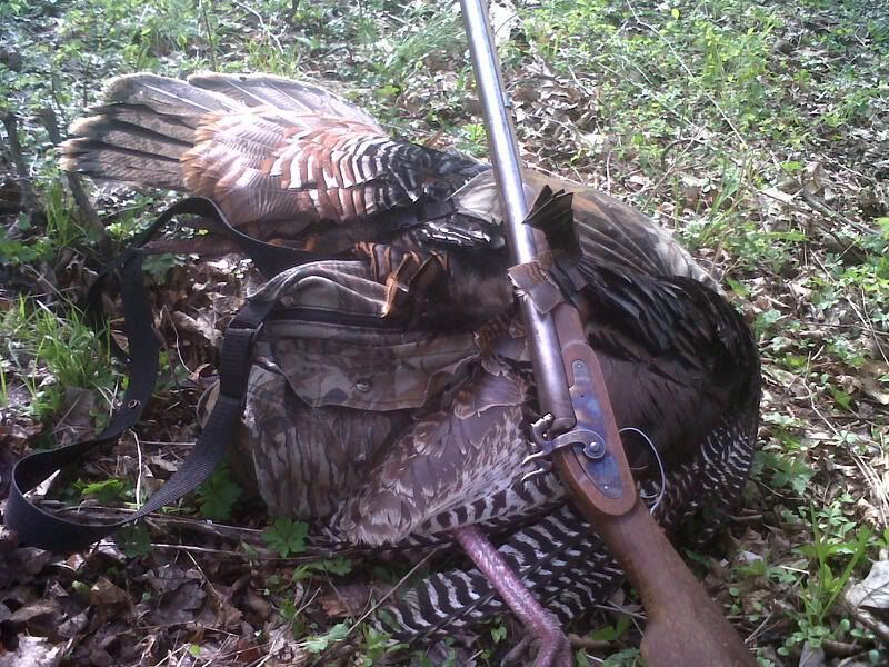 wess_Gobbler2011.jpg