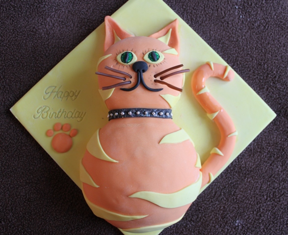 lynnes-cat-cake.jpg