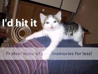 Kittenhitit.jpg