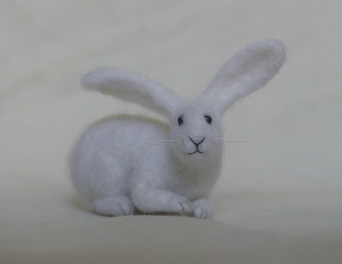 miniature_bunny1.jpg