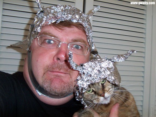 tinfoil%20hat%20with%20tinfoil%20cat.jpg