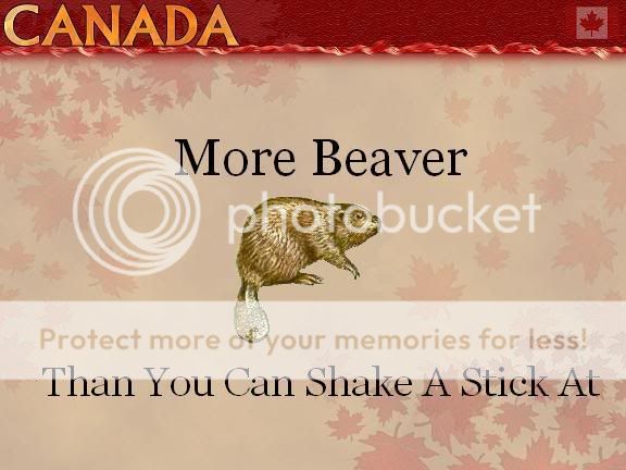 More_beaver.jpg