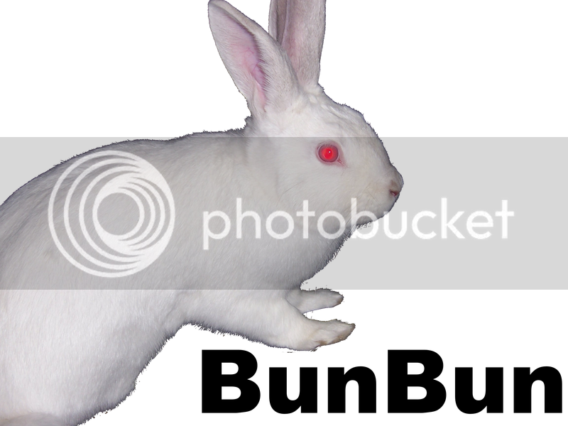 BunBun_avvie_Transparent_2-1.png