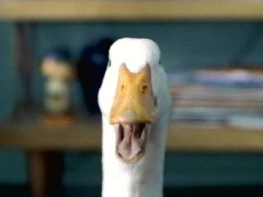 aflac-duck.jpg