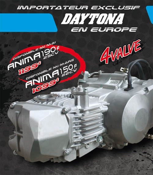 Daytona-Anima2.jpg