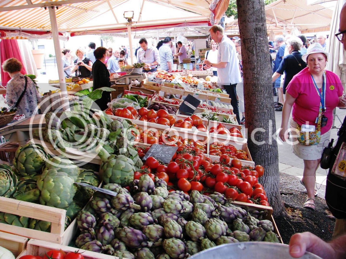 producemarketinsouthoffrance_zps87d9b71b.jpg