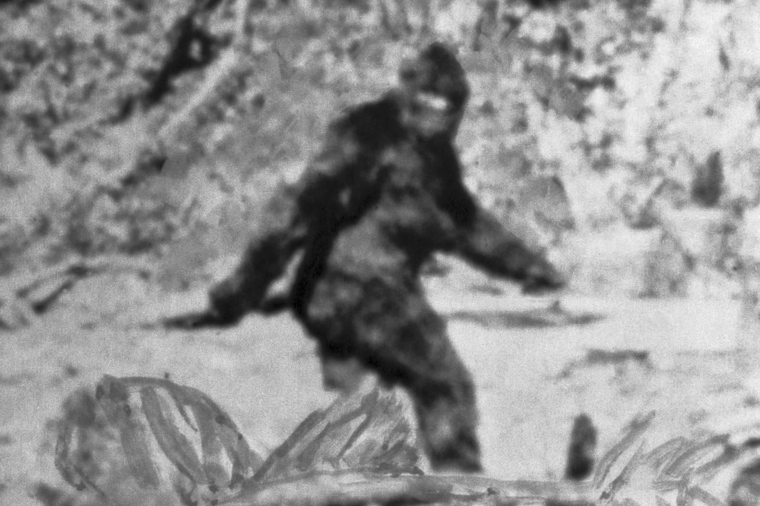 105951036-1559761167164bigfoot.jpg