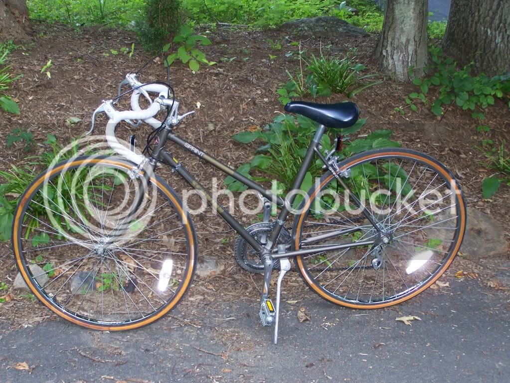 schwinn1.jpg