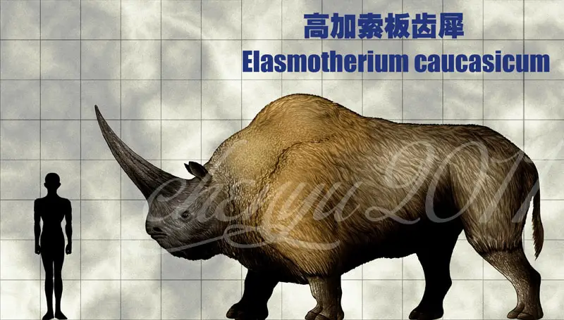 985_elasmotherium_chen_yu.jpg