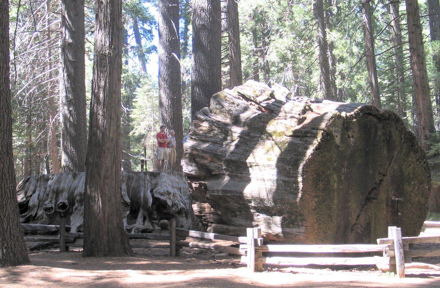 Discovery-Tree-stump-North-Grove-Calaveras-Big-Trees-State-Park-California.jpg