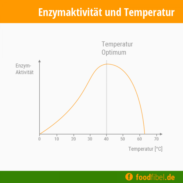 Infografik: Kurvendiagramm der Enzymaktivität in Abhängigkeit von der Temperatur. © Foodfibel.de