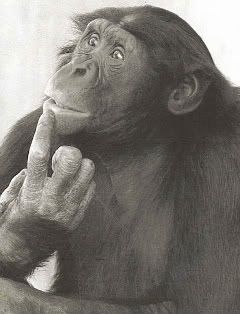 chimp_thinking.jpg