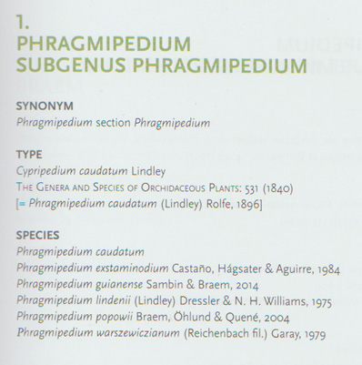 phragmipedium_species.jpg